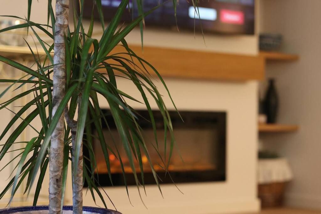 Lc Apartaments Voramar Benicassim Bagian luar foto